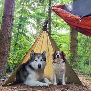 Tikaani's Hammock Tipi